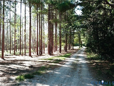 4460 Three Square Rd, Goochland, VA 23063 - photo 6