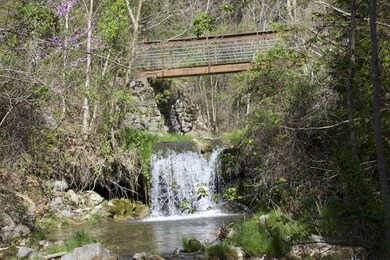 1987 Old Buena Vista Rd, Buena Vista, VA 24416 - photo 5