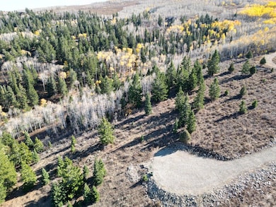 20251008170550250934000000-o