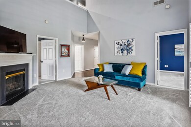 11306 Westbrook Mill Ln unit 301, Fairfax, VA 22030 - photo 6