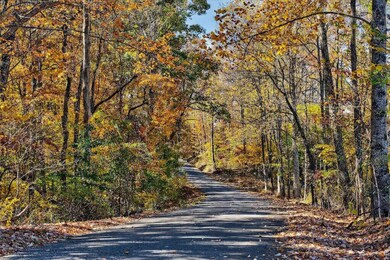 266AC Meadow Lark, Dunlap, TN 37327 - photo 7