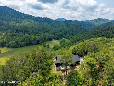 3050 Patty View Way Aerial-8