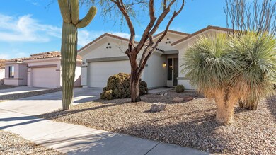 MATURE SAGUARO CACTUS