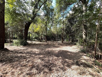 0 County Road 373 unit 48237845, Splendora, TX 77372 - photo 6