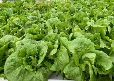 0 Highway 64 W unit RTC2400540, Shelbyville, TN 37160 - photo 7