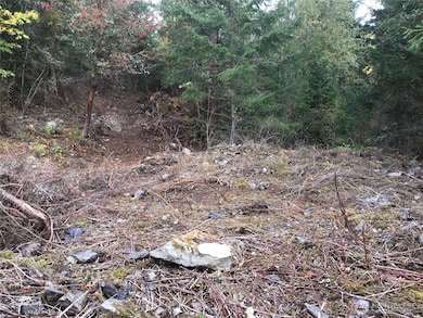 11939 New Morning Dr, Anacortes, WA 98221 - photo 3