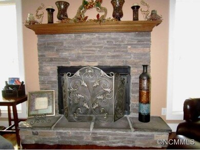 142 Odonald Rd, Asheville, NC 28806 - photo 4