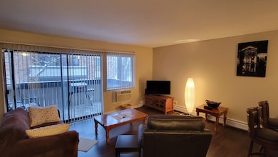 1810 Hemlock Place unit 209, Schaumburg, IL 60173 - photo 5