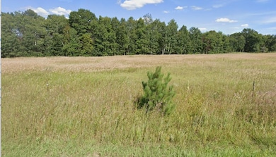 252xx Durant St NE, Isanti, MN 55040 - photo 3