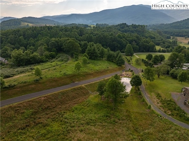 7 Summit View Pkwy, Avery Coutny, NC 28657 - photo 7