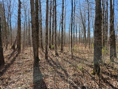 TBD 360th St, Shevlin, MN 56676 - photo 4