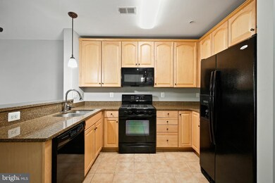11900 Little Seneca Pkwy unit 2411, Clarksburg, MD 20871 - photo 4