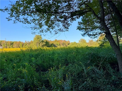 0 Campbell Rd, Franklin, NY 13775 - photo 4