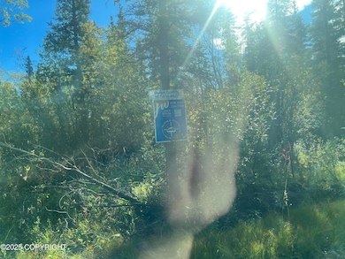 L 7&8 B9 Kenny Lake Village, Chitina, AK 99573 - photo 2