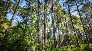 140 Elderberry Ln, Cairo, GA 39828 - photo 7