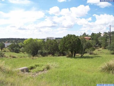 xxx Rosewood Cir, Silver City, NM 88061 - photo 4