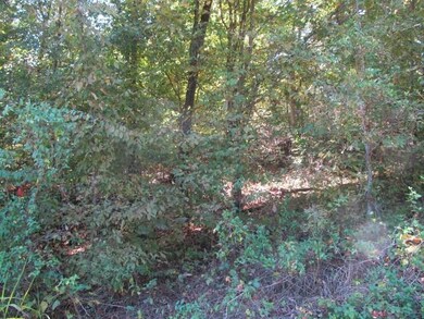 0 Southernaire Resort Rd, Stewart, TN 37175 - photo 5