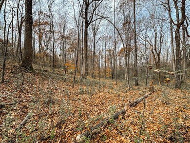 County Road 501, Lexington, AL 35648 - photo 6