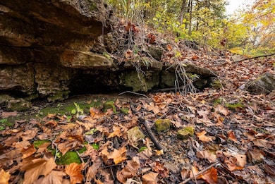 0 Cr 663, Oak Grove, AR 72660 - photo 7