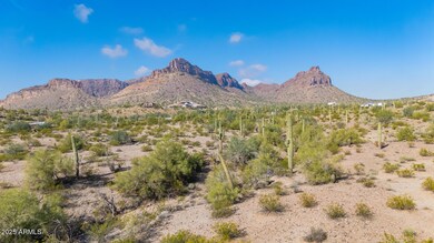 26887 N Shirley Rd unit 53, Queen Creek, AZ 85142 - photo 4