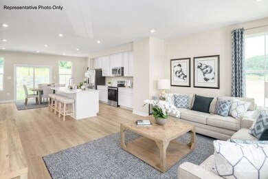 2174 Flicker Rd unit 1035D, Indian Land, SC 29707 - photo 5