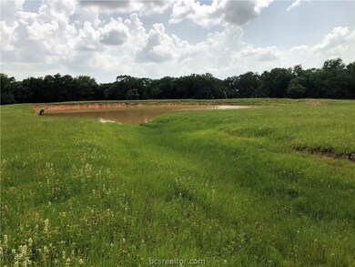 Pond viewed from high side