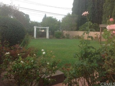 Another backyard view