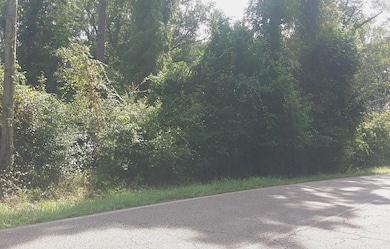 Just off SH 242 & Firetower Rd