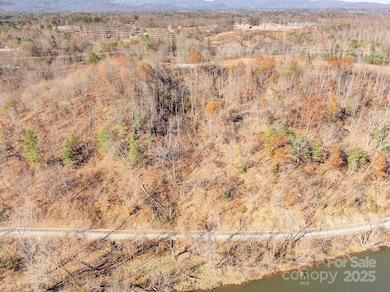 155 Flynn Branch Rd, Asheville, NC 28804 - photo 5