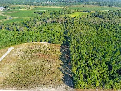 TBD Tansy Rd, Loris, SC 29569 - photo 4