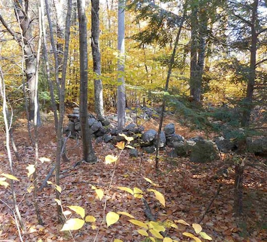 11 Drake Hill Rd unit 4-41, Strafford, NH 03884 - photo 4