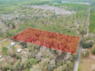 XXXX Slash Pine Dr Oakland Dr, Crawfordville, FL 32327 - photo 7