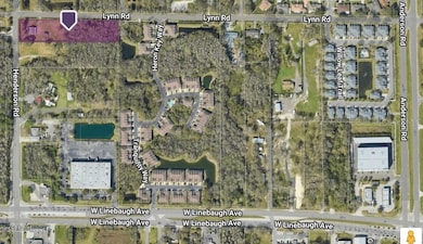 6318 Lynn Rd, Tampa, FL 33625 - photo 5