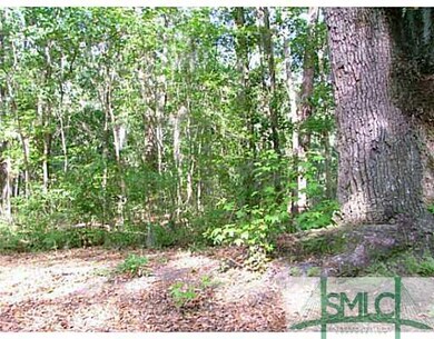 Land/Lot. 2 entrances to the property one from Ros