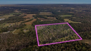 1130 County Road 376, Pisgah, AL 35765 - photo 6