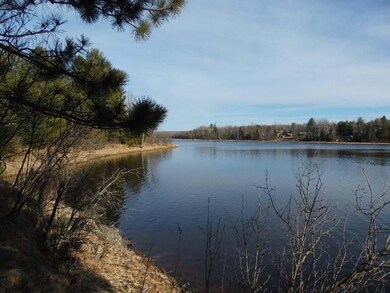61 acres Hwy 86, Tomahawk, Wi, WI 54487 - photo 4