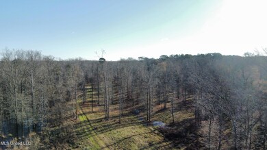 dji_fly_20240213_084338_200_170783543910