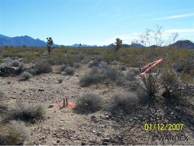 Beautiful Desert Landscape