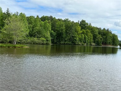 Lot 31 the Bear Blvd, Tamassee, SC 29686 - photo 4