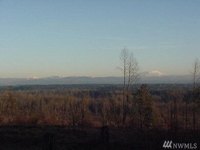 3 Volcano Rd, Napavine, WA 98532 - photo 4