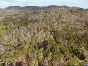 0 Lester Whitt Rd unit 248773, Rutledge, TN 37861 - photo 6