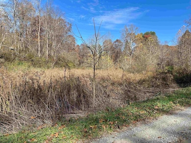 TBD Pyles Ave, Mannington, WV 26582 - photo 4