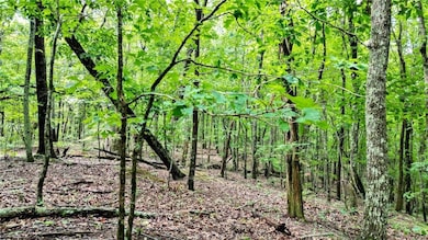 TractA Clark Dr, Jasper, GA 30143 - photo 4