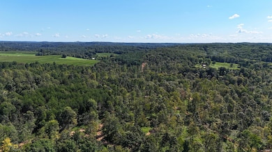 96+/- Acres Emmons Ridge Rd, Shoals, IN 47581 - photo 7