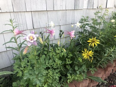 Perennial gardens!