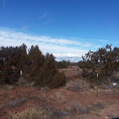 lot 23.mtview.8