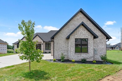 3-web-or-mls-2-web-or-mls-DSC09776-1