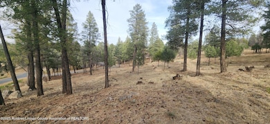 301 Excalibur Rd, Ruidoso, NM 88345 - photo 5