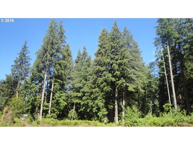 0 Miami Foley Rd unit 16504420, Nehalem, OR 97131 - photo 7