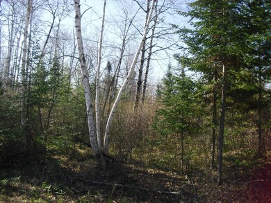 W9080 Blackhawk Rd, Tomahawk, WI 54487 - photo 7